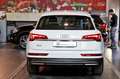Audi Q5 35 TDI S-Tronic Business - NAVI/LED Blanc - thumbnail 4