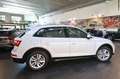 Audi Q5 35 TDI S-Tronic Business - NAVI/LED Blanc - thumbnail 10