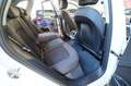Audi Q5 35 TDI S-Tronic Business - NAVI/LED Blanc - thumbnail 19