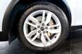 Audi Q5 35 TDI S-Tronic Business - NAVI/LED Blanc - thumbnail 6