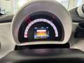 smart forTwo Fortwo 1.0 Prime 71cv twinamic Weiß - thumbnail 11