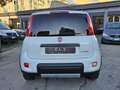 Fiat Panda 1.0 FireFly S&S  City Life PREZZO PROMO Wit - thumbnail 5