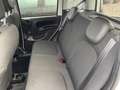 Fiat Panda Waze PDC Weiß - thumbnail 9