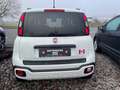 Fiat Panda Waze PDC Weiß - thumbnail 5