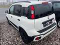 Fiat Panda Waze PDC Weiß - thumbnail 4