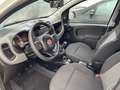 Fiat Panda Waze PDC Weiß - thumbnail 7
