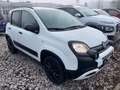 Fiat Panda Waze PDC Weiß - thumbnail 3