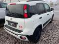 Fiat Panda Waze PDC Weiß - thumbnail 6