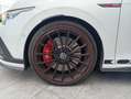 Volkswagen Golf GTI 2.0 TSI Clubsport DSG 221kW Wit - thumbnail 49