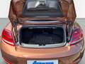 Volkswagen Beetle Cabrio 1.4 TSi DSG*Allstar*Navi*Telefon*Windschott Marrón - thumbnail 4
