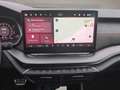 Skoda Octavia OCTAVIA RS 2,0 TSi DSG*Canton*Memory*DCC*360  Navi Grau - thumbnail 15