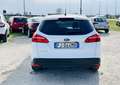 Ford Focus 1.5 diesel 2017 automatico autocarro n1 4posti - thumbnail 5