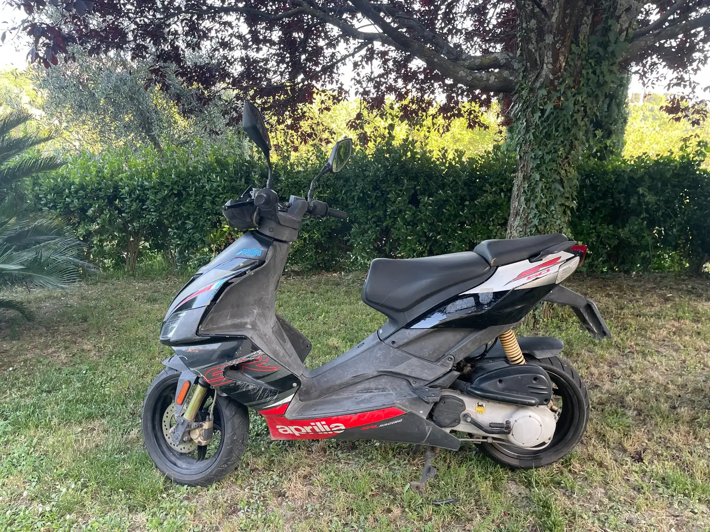 Aprilia SR 50 Factory Negro - 1
