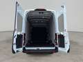 Ford Transit Kastenwagen Trend Heck 350 L4 Weiß - thumbnail 10