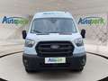 Ford Transit Kastenwagen Trend Heck 350 L4 Weiß - thumbnail 2