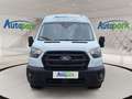 Ford Transit Kastenwagen Trend Heck 350 L4 Weiß - thumbnail 9