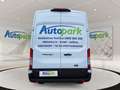 Ford Transit Kastenwagen Trend Heck 350 L4 Weiß - thumbnail 7