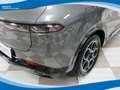 Alfa Romeo Tonale 1.5 Hybrid 160cv Ti TCT7 EU6 Grigio - thumbnail 14
