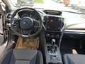 Subaru XV 2,0i e-Boxer CVT Style Xtra Allrad Aut. Grau - thumbnail 8