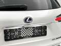 Lexus NX 300h AWD F Sport Line | Trekhaak | Panoramadak | Stoelv Blanc - thumbnail 21
