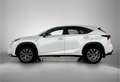 Lexus NX 300h AWD F Sport Line | Trekhaak | Panoramadak | Stoelv Blanc - thumbnail 3