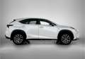 Lexus NX 300h AWD F Sport Line | Trekhaak | Panoramadak | Stoelv Blanc - thumbnail 14