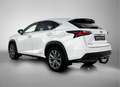 Lexus NX 300h AWD F Sport Line | Trekhaak | Panoramadak | Stoelv Blanc - thumbnail 16
