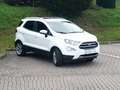 Ford EcoSport TitaniumX/XENON/WINTER-PAKET/KLIMA/RFK/NAVI/S-DACH Blanc - thumbnail 2