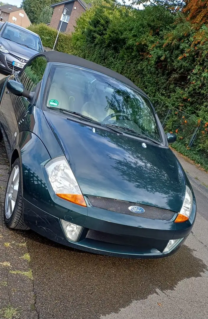 Ford Streetka Streetka 1.6 8VElegance Grün - 2