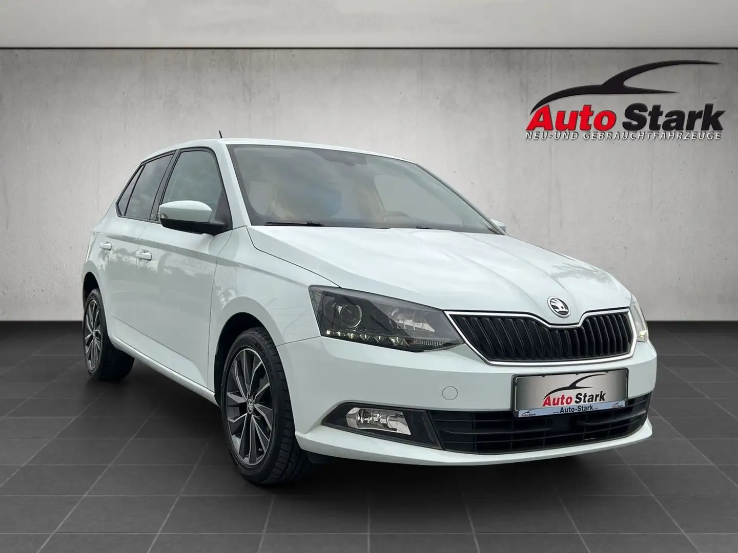 Skoda Fabia 1,2 TSI 90 PS Edition°LED°SHZ°Tempomat°DAB°DEKRA° Weiß - 2