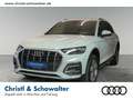 Audi Q5 50 TFSI e quat S tronic advanced MATRIX NAVI Weiß - thumbnail 1