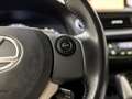 Lexus CT 200h Sport Automaat (NAVIGATIE, CLIMATE, CAMERA, STOELV Grijs - thumbnail 21