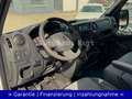 Renault Master III DoKa Pritsche L3H1 3,5t *4x4*TÜV NEU* Blanc - thumbnail 12