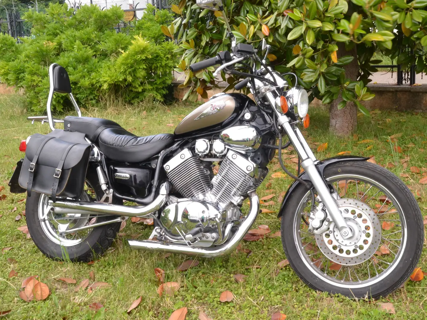 Yamaha XV 535 DX iscritta registro storico FMI Noir - 1