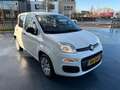 Fiat Panda 1.2 Edizione Cool AIRCO HOGE INSTAP Weiß - thumbnail 7