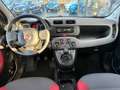 Fiat Panda 1.2 Edizione Cool AIRCO HOGE INSTAP Weiß - thumbnail 14