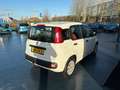 Fiat Panda 1.2 Edizione Cool AIRCO HOGE INSTAP Weiß - thumbnail 5