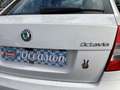 Skoda Octavia 1.2 Blanc - thumbnail 22