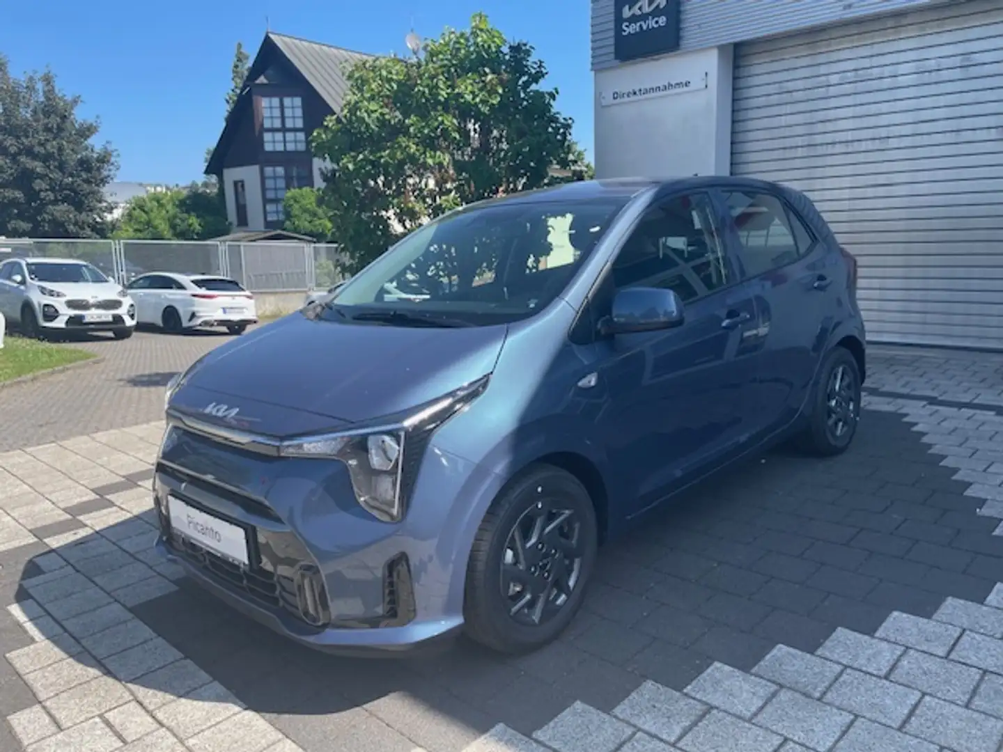 Kia Picanto 1.2 MT Vision Blau - 1