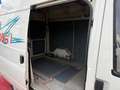 Ford Transit 2.0 FT 300 *1-HAND*LKW-ZULASSUNG*3-SITZER*AHK*DPF* Weiß - thumbnail 11