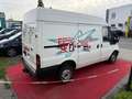 Ford Transit 2.0 FT 300 *1-HAND*LKW-ZULASSUNG*3-SITZER*AHK*DPF* Weiß - thumbnail 3