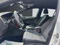 Volkswagen Golf R LINE 2.0 TDI BLUEMOTION TECHNOLOGY Bianco - thumbnail 14