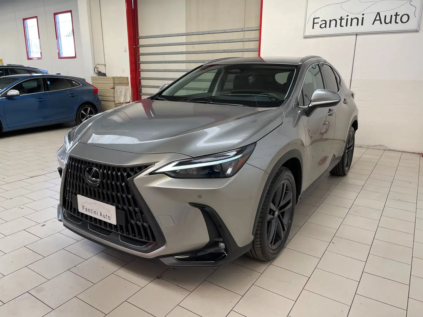 Lexus NX 350h Premium+ 2.5 4wd e-cvt-Dettagli in Bio Grigio - 2