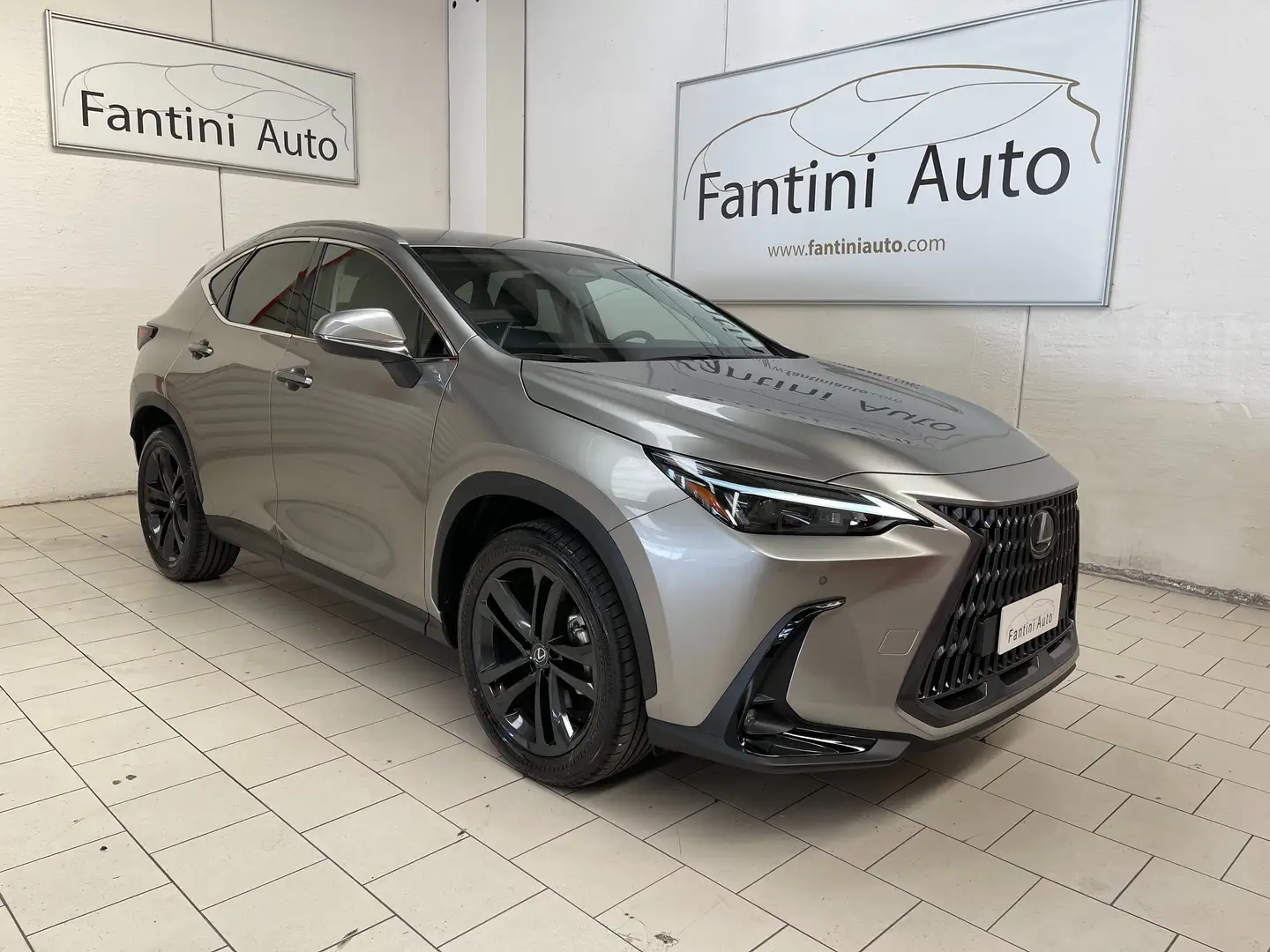 Lexus NX 350h Premium+ 2.5 4wd e-cvt-Dettagli in Bio Grigio - 1