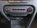 Kia Ceed SW / cee'd SW 1.5 T-GDI LED|Navi|SHZ Grau - thumbnail 19