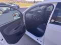 Lancia Ypsilon 0.9 TwinAir 85 CV 5 porte Metano Gold OK NEO Bianco - thumbnail 9