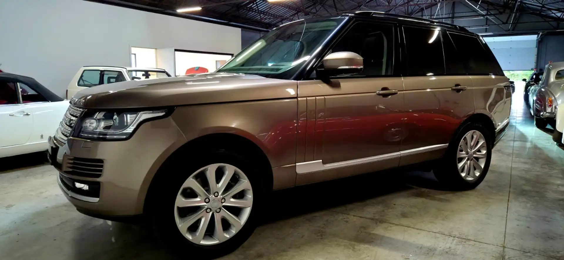Land Rover Range Rover Range Rover Mark V SWB SDV8 4.4L 339ch Vogue A Beige - 1