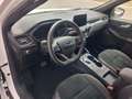 Ford Kuga 2.5 Duratec Plug-In Hybrid ST-Line X Blanco - thumbnail 9