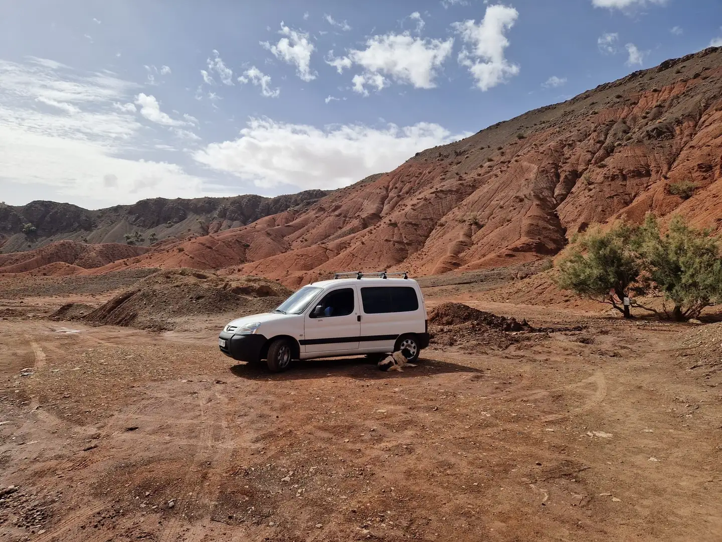 Peugeot Partner 1.9D Mixto Adaptable Blanco - 2