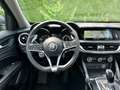 Alfa Romeo Stelvio Stelvio 2.2 MJd Veloce 2WD / Tinted Window / CARPL Grijs - thumbnail 20